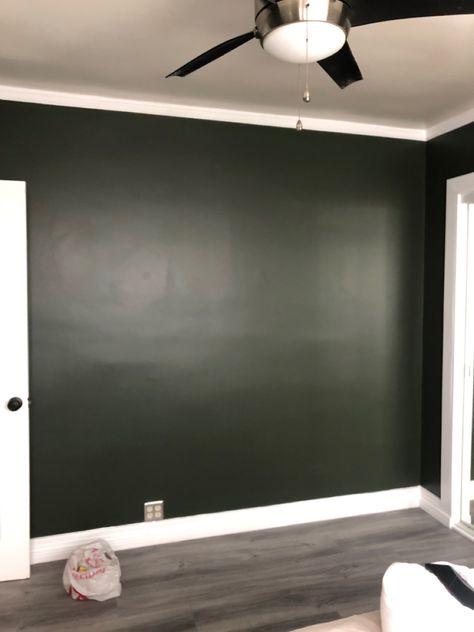 Benjamin Moore Chimichurri Bedroom, Chimichurri Paint Benjamin Moore, Chimichurri Paint, Chimichurri Benjamin Moore, Olive Black Paint, Benjamin Moore Chimichurri, Dark Olive Bedroom, Half Bath Paint Ideas, Dark Olive Green Bedroom