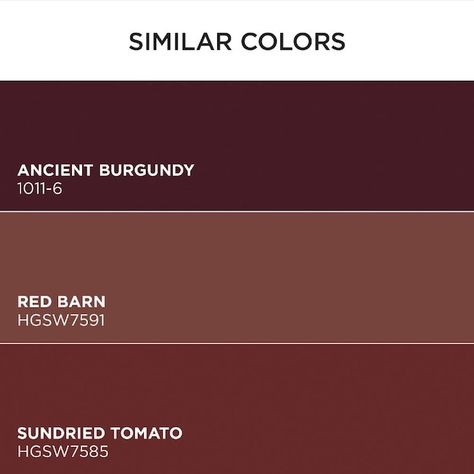 HGTV HOME by Sherwin-Williams Ovation Plus Satin Royal Garnet 1011-5 Latex Interior Paint + Primer (1-quart) in the Interior Paint department at Lowes.com Dark Red Walls, Burgundy Paint Colors, Burgundy Bathroom, Gold Paint Colors, Half Painted Walls, Brown Paint Colors, Zyla Colors, Burgundy Paint, Red Paint Colors