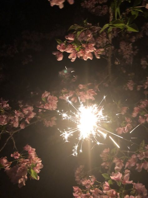 Sparkler in flower blossom Sparklers Aesthetics, Candle Aesthetics, The Light In The Dark, Sparkler Candles, Party Inspo, Shooting Star, Blossom Flower, The Light, In The Dark