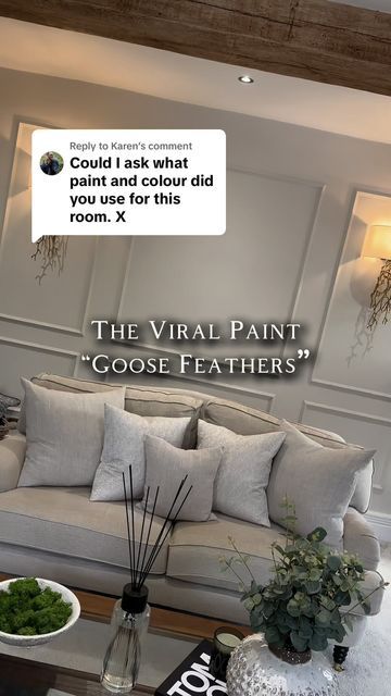 Lavish Lodge on Instagram: "Hey guys so again we’ve been asked a lot about the paint that we have used throughout the house 🩵 it’s called “goose feathers” by @valsparpaintuk I thought it might be nice to show you the paint swatch in B&Q and also in our house 🏡 because as you can see in B&Q, it does look more of a grey. But I can assure you it’s definitely the most perfect neutral beige. Hope this helps 🙏🏻 😘 
#lavishlodge #lavishlodgeinteriors #homedecor #homerenovation #renovationproject #houseoftiktok #luxuryhomes #homeware #softfurnishings #goosefeathers #paint #renovationproject" Lodge Interiors, Best B, Paint Swatches, Goose Feathers, Paint Colours, Neutral Beige, Be Nice, Cottage Homes, Renovation Project