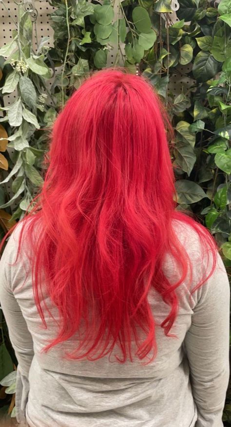 Hair Dye Red, Contrast Hair, Dyed Red Hair, Forest Fairy, Hair Dye, Grey Shirt, Pink Hair, Dyed Hair, Hair Ideas