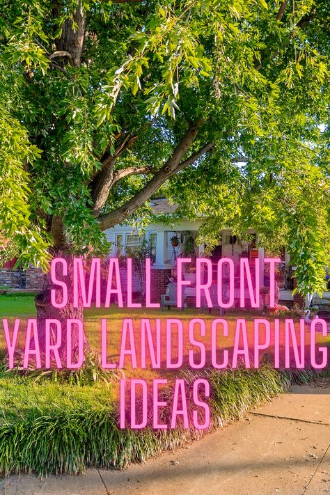 Front yard landscaping ideas if your yard is small - You can do A LOT even if you have a small front yard. We have the best ideas for stylish and smart improvements! #curbappeal #smallfrontyard #landscapingideas #outdoorlivingspace #gardening #nativeplants #nomowgrass #lawnideas Small Lawn Landscaping Ideas, Front Yard Garden Beds Curb Appeal, Landscaping A Small Front Yard, Small Landscape Design Front Yard, Bush Design Front Yards, Small Plants For Landscaping Front Yards, Small Space Front Yard Landscape, Small House Landscaping Ideas, Front Yard Landscaping For Small Yards