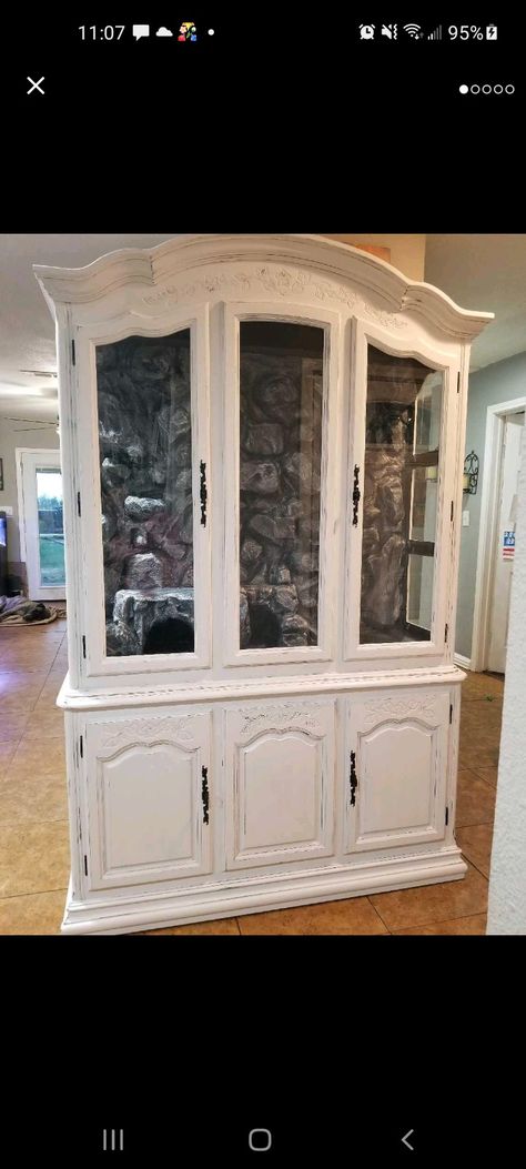 China Cabinet Reptile Enclosure, Snake Cages, Snake Enclosure, Reptile Room, China Hutch, Reptile Enclosure, Pet Snake, House Decorations, Hutch