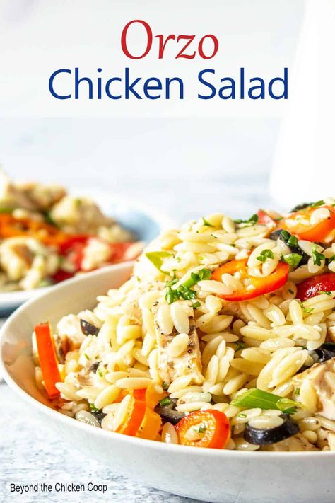 Orzo Chicken Salad Orzo Chicken Salad, Chicken Bell Peppers, How To Cook Orzo, Orzo Pasta Salad, Chicken Pasta Salad, Delicious Pasta, Cooking Recipes Healthy, Salad With Sweet Potato, Orzo Pasta