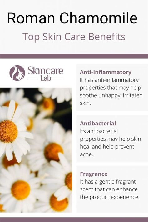 Learn about the Roman Chamomile extract skin care benefits and uses. Chamomile Skin Benefits, Chamomile Benefits, Skincare Lab, Herb Benefits, Chamomile Plant, Roman Chamomile Essential Oil, Honey Beauty, Chamomile Extract, Skincare 101