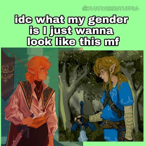 Link Zelda Aesthetic, Trans Link, Legend Of Zelda Memes, Zelda Funny, Link Zelda, Zelda Art, Legend Of Zelda Breath, Zelda Breath, Breath Of The Wild