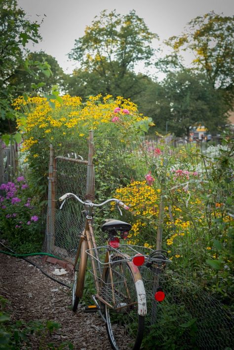 Victory Gardens, Food Flowers, Grow Food, Victory Garden, Community Gardening, Gnome Garden, Growing Food, Growing Flowers, Dream Garden