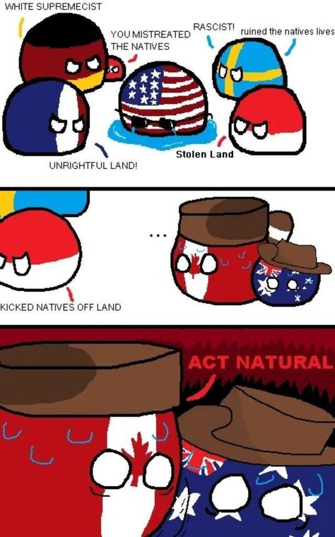 Human Flag, Country Balls, History Jokes, Country Jokes, Country Memes, Memes Of The Day, Country Humor, Country Art, Fun Comics