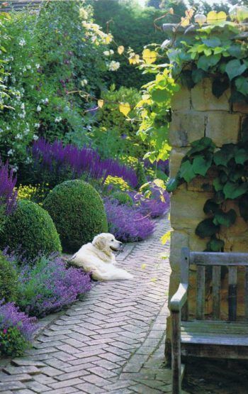 Boxwood And Lavender, Small Yard Design, Bord Design, Happy Memorial Day Weekend, Exquisite Gardens, Memorial Day Weekend, Happy Memorial Day, Traditional Landscape, Small Yard