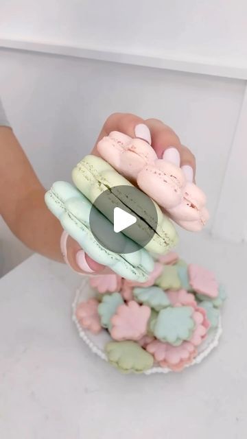 The Modern Bakery on Instagram: "sea shell macs 🐚" Mermaid Macarons Sea Shells, Sea Shell Macarons, Clamshell Macarons, Mermaid Macarons, Modern Bakery, Sea Shell, Macarons, Beautiful Images, Sea Shells