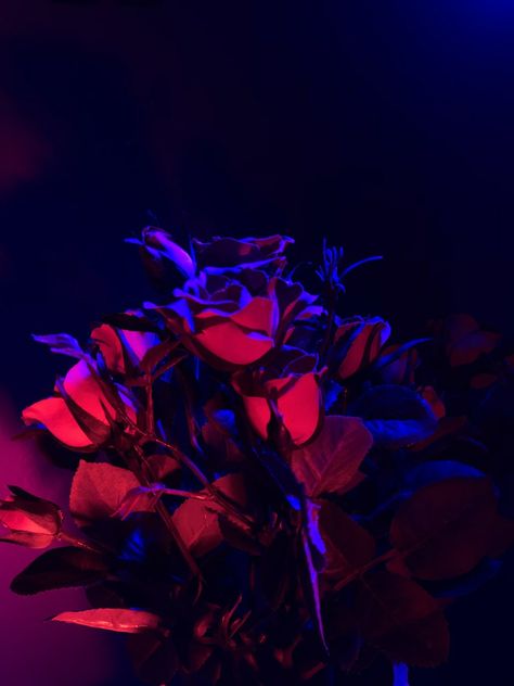 Dark Red Aesthetic, Maps Aesthetic, Red Aesthetic Grunge, Blue Aesthetic Dark, Purple Bedding, Aesthetic Red, Neon Aesthetic, Aesthetic Dark, Aesthetic Colors