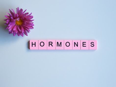 Do Hormone Balancing Diets Work? Here's What You Need To Know. Hormone Diet, Hormone Balancing Diet, High Cortisol, Balance Hormones Naturally, Thyroid Health, Cortisol Levels, Hormone Health, Hormone Levels, Reproductive Health