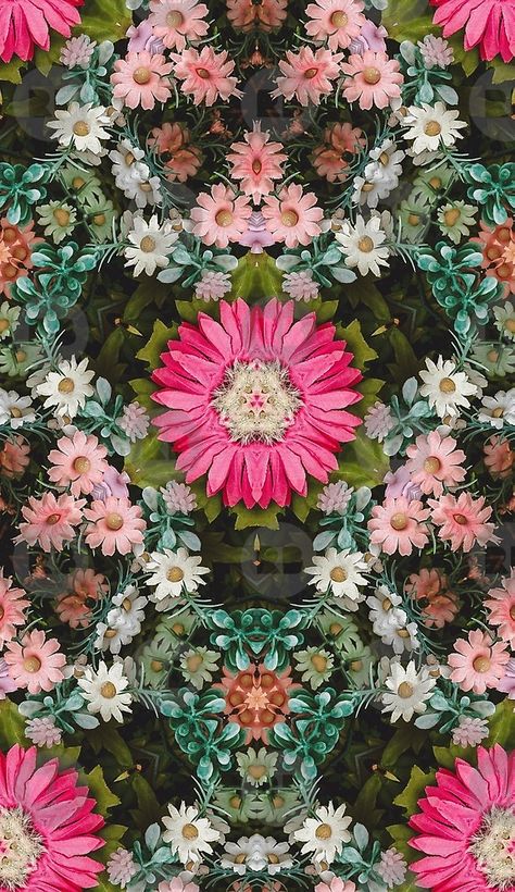 Kaleidoscope Flower, Kaleidoscope Poster, Kaleidoscope Images, Pattern Design Inspiration, Butterfly Bush, Pretty Designs, Flower Patch, Flowers Photography, Nature Photos