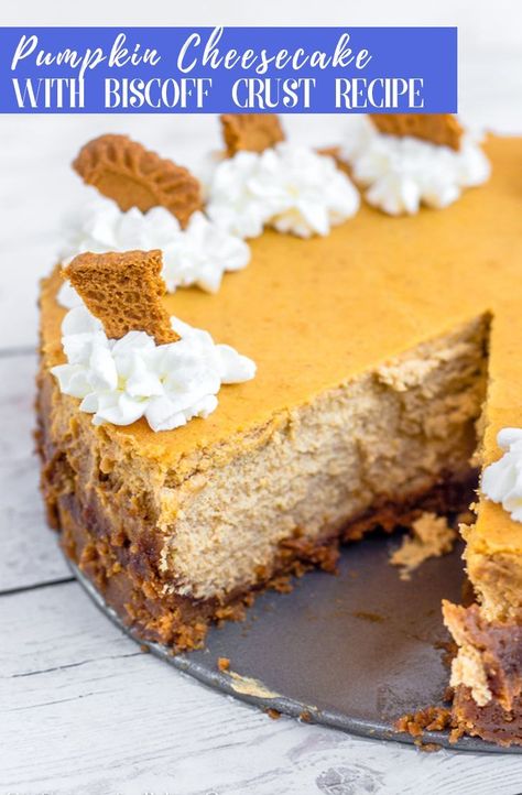 Cheesecake With Biscoff Crust, Best Pumpkin Cheesecake Recipe, Best Pumpkin Cheesecake, Biscoff Crust, Thanksgiving Addition, Vanilla Cheesecake Recipes, Holiday Deserts, Biscuit Crust, Thanksgiving Desserts Table