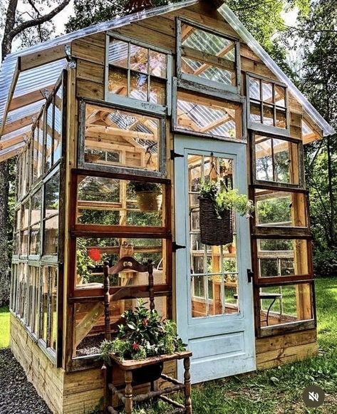 Greenhouse Made From Old Windows, Old Window Greenhouse, Window Greenhouse, Old Window Projects, Diy Greenhouse Plans, Outdoor Greenhouse, Greenhouse Shed, Home Greenhouse, Window Projects