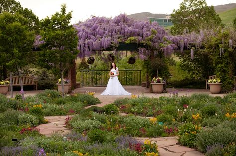 red butte garden utah Red Butte Garden, Downtown Salt Lake City, Temple Square, Indoor Wedding Ceremonies, Brick Stone, Bridal Pictures, Traditional Bride, Tall Trees, Indoor Wedding