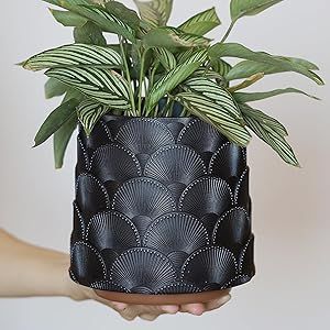 Amazon.com : GUGUGO Pearl Black Scale Planter, Cute Unique Plant Pot with Drainage, Eclectic Colorful Small Flower Planters Pots for Indoor & Outdoor Plants, Rainbow Funny Succulent Gardening Pot Gifts : Patio, Lawn & Garden Succulent Gardening, Plants Indoor, Unique Plants, Flower Planters, Painting Tips, Outdoor Plants, Plant Pot, Small Flowers, Garden Pots