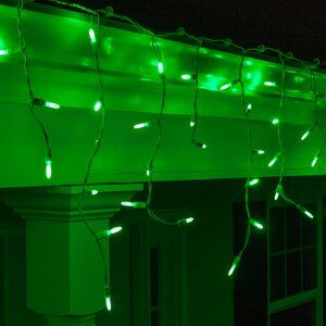 Wintergreen Lighting 70 Light LED Icicle Light | Wayfair Green Christmas Lights, Christmas Light Clips, Led Icicle Lights, Icicle Christmas Lights, Green Lights, Green Led Lights, Best Christmas Lights, Lights Hanging, Icicle Lights