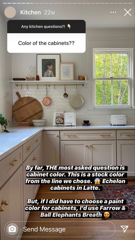 Elephant Breath Farrow And Ball, Elephants Breath Kitchen, Farrow And Ball Kitchen, Elephants Breath, Mushroom Paint, Cabinet Paint Colors, Most Asked Questions, Army Wife, Cabinet Colors