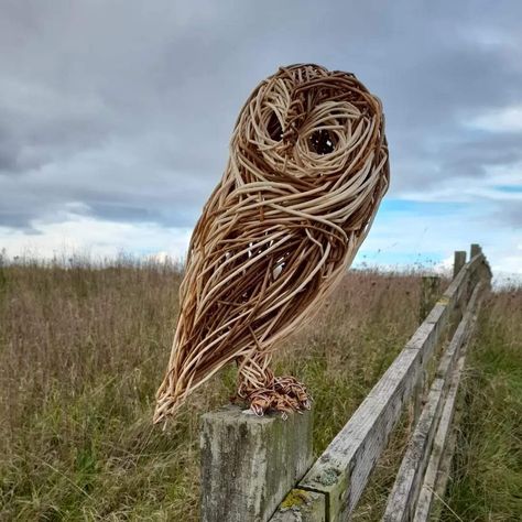 Willow Garden, Twig Art, Willow Weaving, Willow Branches, British Wildlife, Garden Art Sculptures Diy, Garden Yard Ideas, Garden Art Sculptures, Garden Art Diy