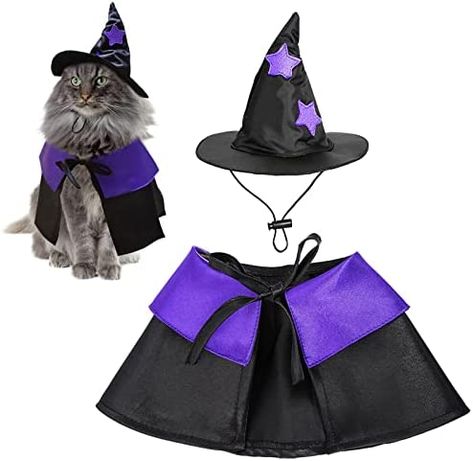 Carbisdale Castle, Halloween Costumes For Pet, Witch Cloak, Cat Wizard, Puppy Funny, Wizard Costume, Castle Scotland, Haunted Castle, Dog Tie