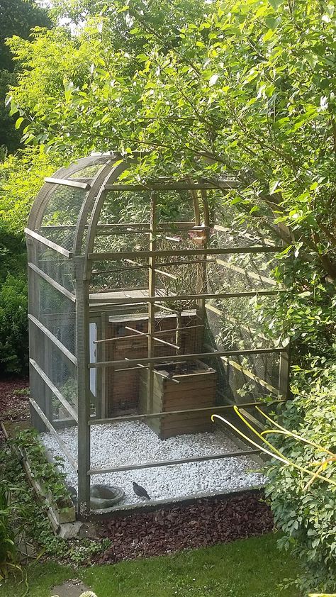 Bird Avery, Aviary Design, Big Bird Cage, Diy Bird Cage, Bird Cage Design, Pet Bird Cage, Conure Parrots, Backyard Seating Area, Large Bird Cages