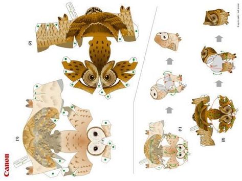 PAPERMAU: Tropical Screech Owl And Barn Owl Miniature Paper Toys by Ayumu Saito & Craft Pocket Magical Menagerie, Paper Mechanics, Owl Templates, Paper Child, Paper Craft Videos, Paper Owls, Origami Patterns, Paper Puppets, Paper Toys Template