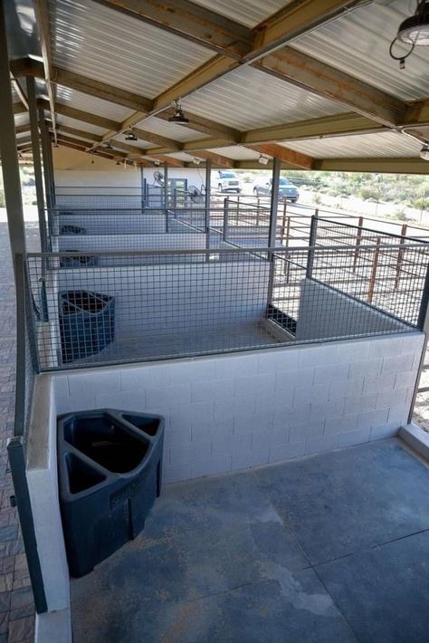 Open Horse Stalls, Cinder Block Horse Stalls, Horse Stalls With Runs, Horse Enclosures, Horse Boarding Facility Ideas, Western Barn Ideas, Cheap Dog Run Ideas Backyard, Livestock Barn Plans, Diy Stables For Horses