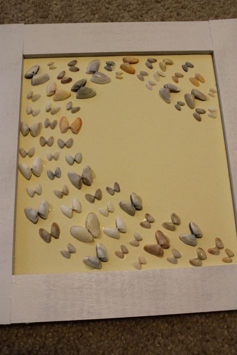 How to Frame Sea Shells Deco Theme Marin, Seashell Display, Ocean Shells, Art Coquillage, Seashell Projects, Sea Crafts, Sand Dollars, Shell Decor, Kraf Diy