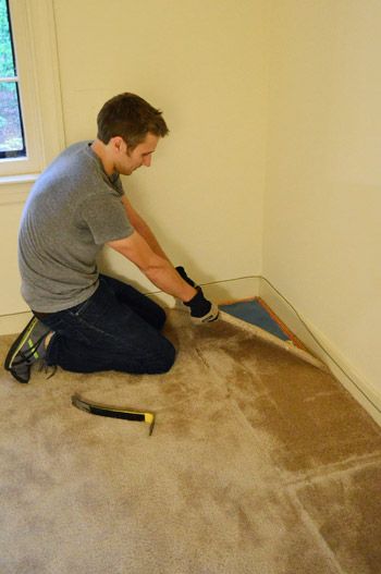 Smelly Carpet, How To Remove Carpet, Carpet Video, Remove Carpet, Carpet Diy, Removing Carpet, Young House, Carpet Cleaning Hacks, Young House Love