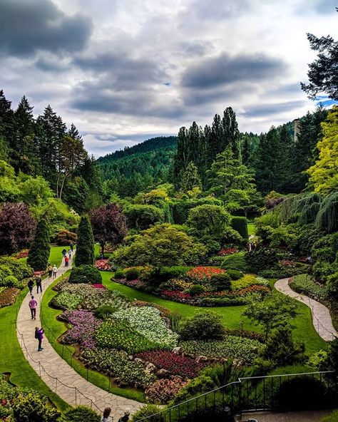 Butchart Gardens, Vancouver Island 🌺🌷🌹 - Canadian Outlook Vancouver Island Canada, Butchart Gardens, Rooftop Garden, Garden Gates, Vancouver Island, Gotham City, Beautiful Gardens, Vancouver, Nature Photography