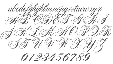 Spencerian Script, Charlotte Mason Homeschool, Script Alphabet, Script Typeface, Embroidery Cards, Design Information, Calligraphy Practice, Nice Handwriting, Calligraphy Alphabet