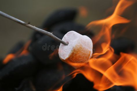 Fire roasted marshmallow. Marshmallow on a stick being roasted over a camping fi , #affiliate, #marshmallow, #roasted, #Fire, #Marshmallow, #fire #ad Graham Cracker Smores, Grill Dessert, Novi Stars, Family Tent Camping, Roasting Marshmallows, Chocolate Marshmallows, Chocolate Wafers, Party Inspo, S'mores