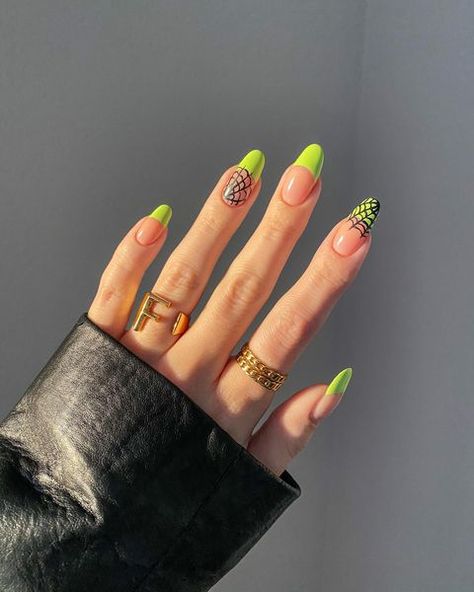 Long Round Nails, Spider Nails, French Tip Nail Art, Holloween Nails, Halloween Nails Easy, Halloween Acrylic Nails, Festive Nail Art, Cute Halloween Nails, Green Nail Designs