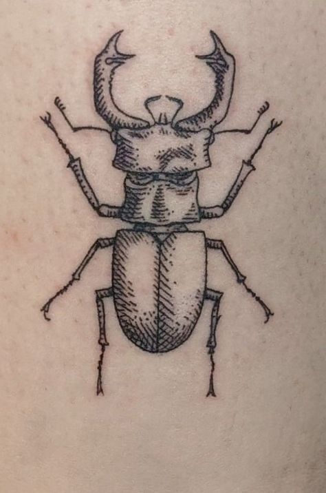 Realistic Sticker Tattoo, Bug Patchwork Sleeve Tattoo, Bug Tattoo Stencil, Bug Wings Tattoo, Small Beetle Tattoo, Weevil Tattoo, Simple Bug Tattoo, Small Bug Tattoo, Stag Beetle Tattoo