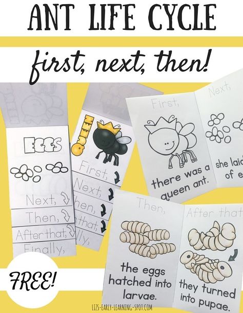 Practice writing first, next, then, after that and finally with these free ant life cycle readers and flip books! Ant Unit Study, Ant Lesson, Sequence Activities, Ant Life Cycle, Ants Activities, Insect Life Cycle, Insect Unit, Bugs Preschool, Morning Meeting Activities