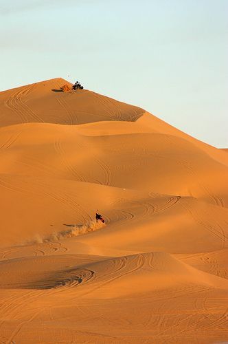 Ride quads in the sand dunes. CHECK! Off the bucket list. Yuma Arizona #sanddune #yuma #arizona #az #desert #southwest #usa Stargate Movie, Arizona Nature, Arizona Attractions, Yuma Az, Arizona Living, Film Scenes, Yuma Arizona, Living In Arizona, Southern Arizona