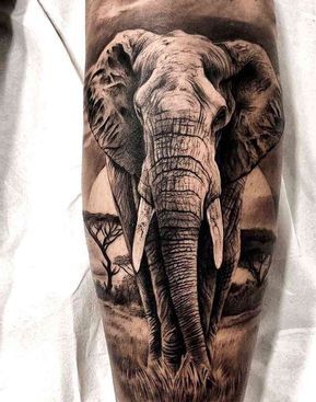 Elephant Tattoo by Sergio Fernandez African Elephant Tattoo, Realistic Elephant Tattoo, Elephant Tattoo Meaning, Africa Tattoos, Animal Sleeve Tattoo, Elephant Tattoo Design, Incredible Tattoos, Leg Sleeve Tattoo, Elephant Tattoo