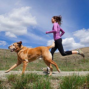 Your pet may be the workout buddy you've been searching for. Tips for running with your pet. Dog Exercise Ideas, Running With Dog, Athletic Dogs, Running Partner, Dog Running, Active Dogs, Buddy Workouts, Dog Health Tips, Dog Exercise