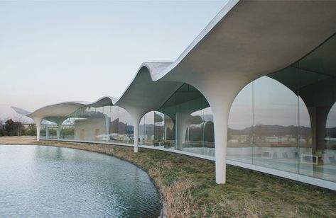 Designed by Toyo Ito, the undulating concrete shell and tree-like columns of the Meiso No Mori Municipal Funeral Hall in Kakamigahara, Japan, are truly unique. Concrete Canopy, Princess Canopy, Canopy Architecture, Wooden Canopy, Canopy Bedroom, Backyard Canopy, Toyo Ito, Modern Entrance, Wedding Canopy