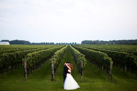 NY wedding venues Venue Questions To Ask, Olives Wedding, Venue Questions, Fall Vineyard Wedding, Wedding Venue Questions, Vineyard Wedding Reception, Vineyard Wedding Venues, Winery Wedding Ideas, Vineyard Wedding Ideas