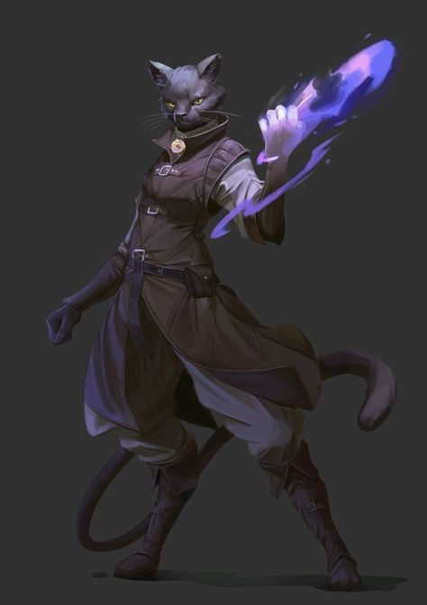 Tabaxi Sorcerer, Heroic Fantasy, Fantasy Races, Dungeons And Dragons Characters, Cat Character, Dnd Art, Skyfall, Fantasy Rpg, Dnd Characters