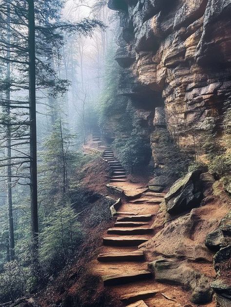 Hocking Hills Ohio, Hocking Hills State Park, Popular Travel Destinations, Morning Fog, Hocking Hills, Cave In, Nature Trail, Historical Place, The Trail