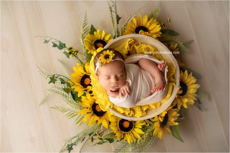 Sunflower Newborn Photography. Sunflower. Yellow Newborn. Yellow Newborn Photography. Floral Newborn. Newborn Photography. Newborn Photo Session. Light Toned Newborn Session. Organic Newborn Portraits. Newborn Photos. Newborn Workflow. Newborn Posing. Newborn Inspiration. Newborn Photographer » Sonia Boukaia - El Paso Photographer. Yellow Newborn Photography, Sunflower Newborn Pictures, Newborn Sunflower Photoshoot, Floral Newborn Photography, Newborn Art, Newborn Photo Session, Baby Pictures Newborn, Colorful Baby