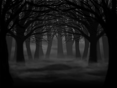 Horror Background Dark Landscape, Black Forest Background, Creepy Forest Drawing, Drawing Ideas Forest, Drawing Ideas Dark, Dark Forest Landscape, Dark Ambiance, Shadow Forest, Dante Inferno