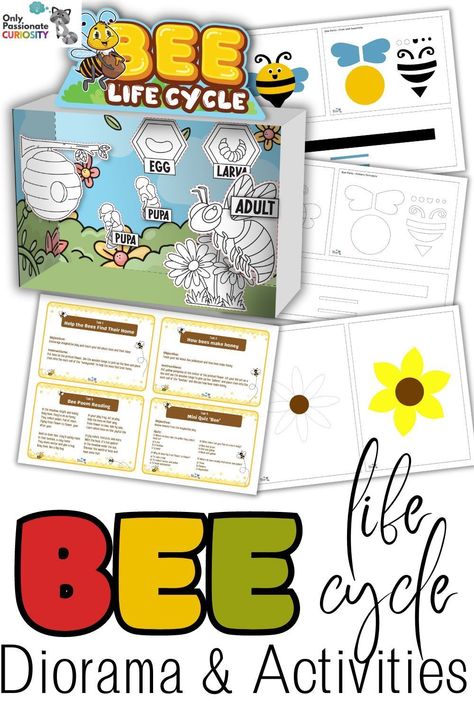 This bee life cycle diorama, bee craft, and sensory bin activity will be sure to inspire your child's curiosity about bees and teach a lot about these fuzzy, buzzy, insects that are so important! Life Cycle Diorama, 3d Plant Cell, Bee Life Cycle, Life Cycle Craft, Bee Craft, Life Cycles Activities, Time Planner, Things To, Homeschool High School