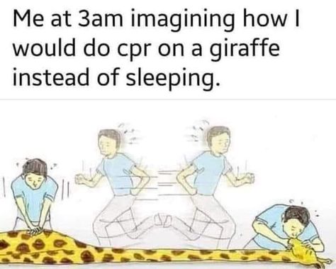 A Giraffe, Morning Humor, Cpr, Silly Animals, Funny Animal Memes, Funny Animal, Animal Memes, Bones Funny, Funny Cute