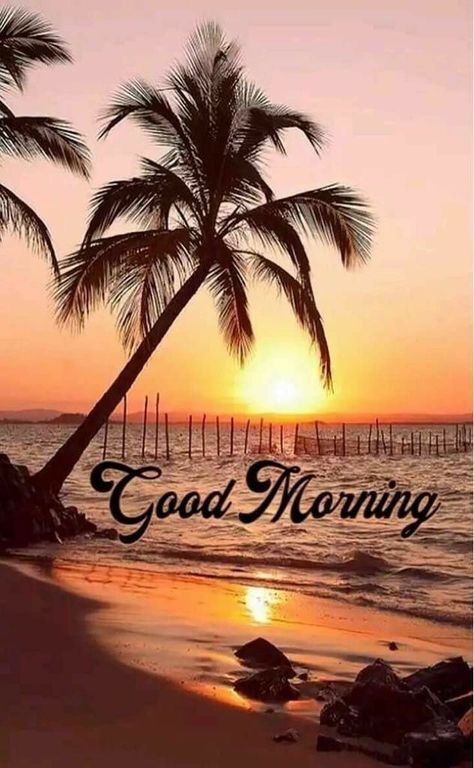 Morning Beach, Good Morning Handsome, Good Morning Thursday, Beautiful Morning Quotes, Good Morning Nature, Good Morning Beautiful Pictures, Good Morning Beautiful Images, Good Morning Cards, Morning Sunrise