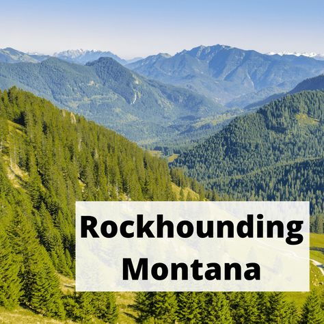 People have been traveling to try their hand at rockhounding Montana for almost two centuries. Montana Moss Agate, Montana Style, Rock Hunting, Petrified Forest, Montana Agate, Montana Sapphire, Rock Hounding, Ghost Towns, Yellowstone National