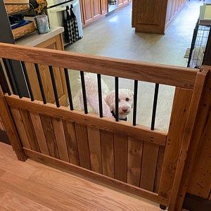 Pivot or spring hinges for a single gate | Etsy Sliding Dog Gates Indoor, Gate Wood And Metal, Horizontal Balusters, Dog Gates Indoor, Pocket Gate, Wood Baby Gate, Diy Dog Gate, Barn Door Baby Gate, Interior Door Hinges